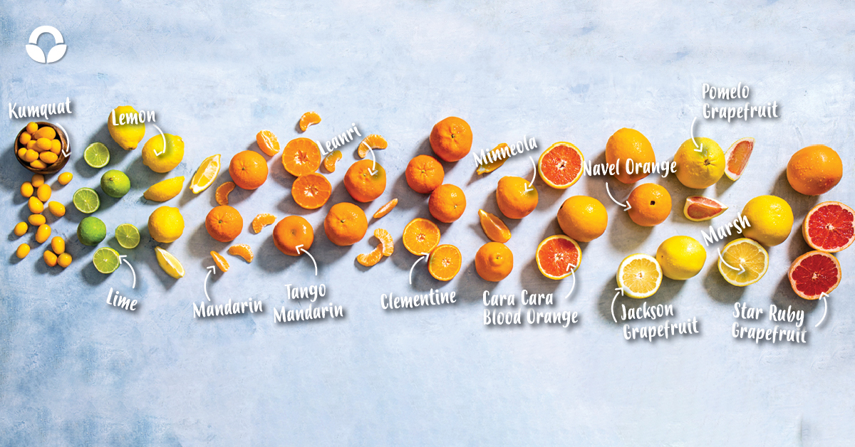 types of naartjies Archives Food Lover's Market