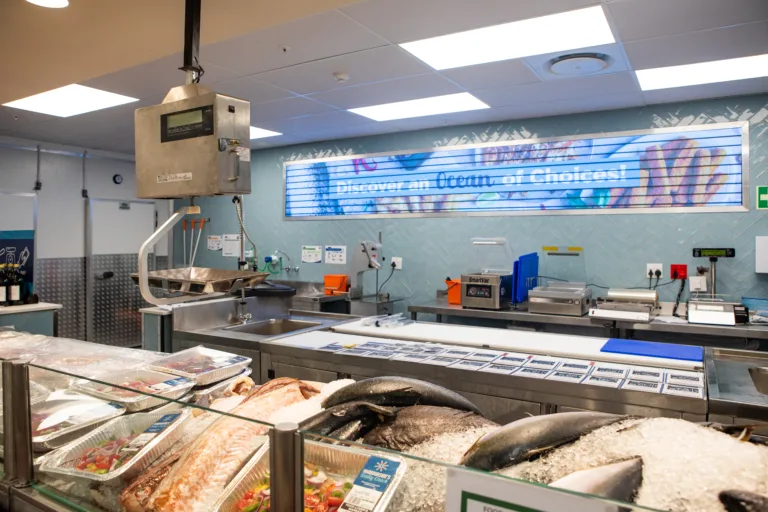 Castle Gate Opening Images 41-16-76